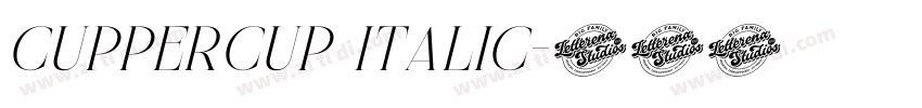Cuppercup Italic字体转换